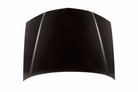 Hood panel assy 3.2TL - ACURA TL 2001-2003