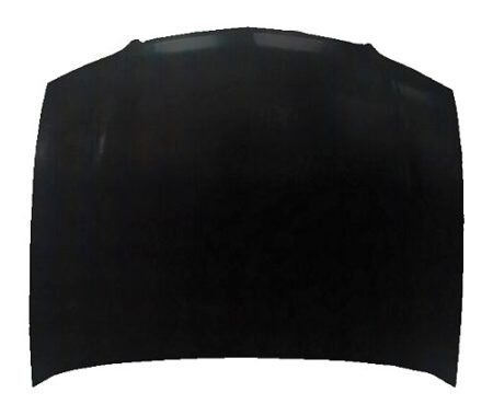 Hood Panel Assy All - ACURA TSX 2004-2005