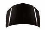 Hood panel assy all CAPA - ACURA RDX 2007-2009