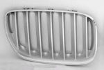 Grille assy right side - BMW X5 2004-2006