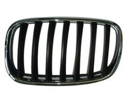Grille assy E71; 3.0L; LH - BMW X6 2008-2014