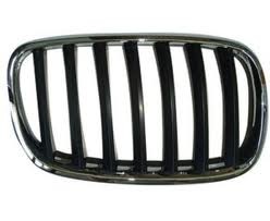 Grille assy E71; 3.0L; RH - BMW X6 2008-2014