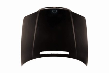 Hood panel assy 4dr sedan/4dr wagon; E46 - BMW 323i 1999-2000