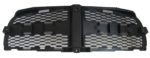 Grille Assy Grille Insert; Factory Installed - DODGE CHARGER 2011-2014