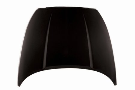 Hood panel assy all - DODGE DAKOTA 2005-2007