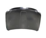 Hood Panel Assy CAPA