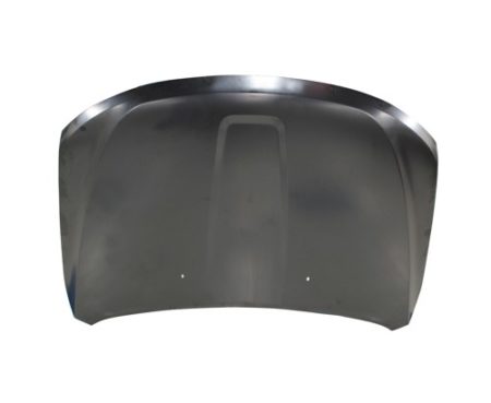 Hood Panel Assy CAPA