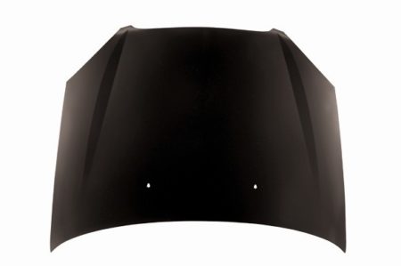 Hood panel assy all - FORD TAURUS 2000-2007