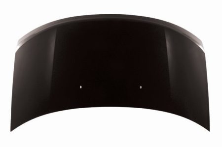 Hood Panel Assy All - FORD EDGE 2007-2010