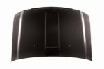 Hood panel assy all CAPA - FORD F-350 SUPER DUTY 2008-2010