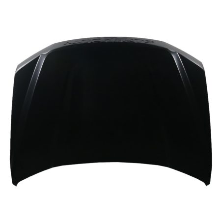 Hood panel assy Aluminum - FORD F-350 SUPER DUTY 2017-2022