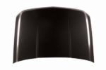 Hood Panel Assy CAPA