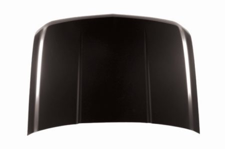 Hood Panel Assy CAPA