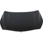Hood Panel Assy Steel