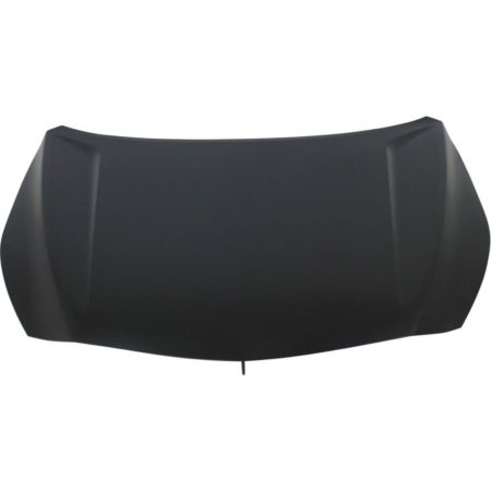 Hood Panel Assy Steel