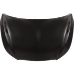 Hood Panel Assy Steel