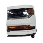Left Headlamp Assy Composite HID; PTM