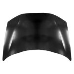 Hood Panel Assy Coupe CAPA