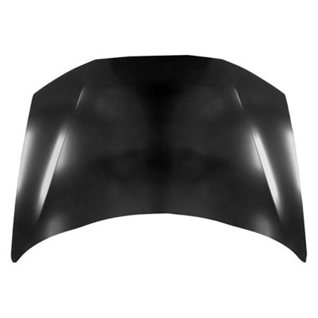 Hood Panel Assy Coupe CAPA