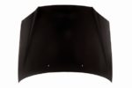 Hood panel assy all CAPA - HYUNDAI ACCENT 2003-2006