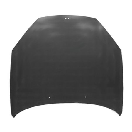 Hood panel assy - HYUNDAI TIBURON 2007-2008