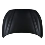Hood Panel Assy Exc Hybrid CAPA