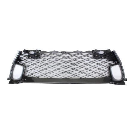 Grille assy w/F Sport Pkg; Lower - LEXUS GS300 2018-2019