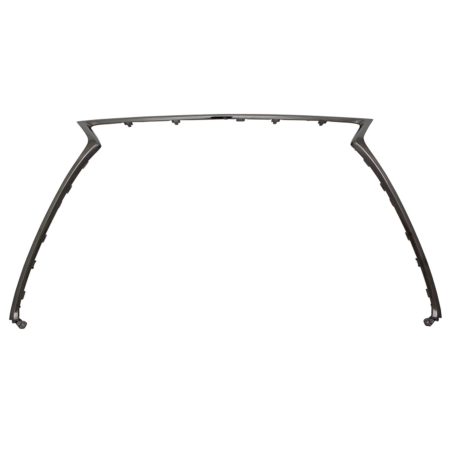 Grille surround w/F Sport Pkg - LEXUS IS300 2017-2017