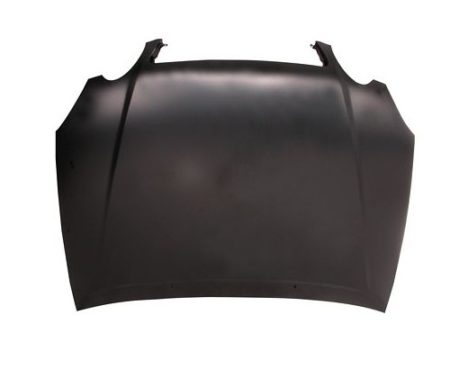 Hood panel assy - LEXUS GS300 1998-2005