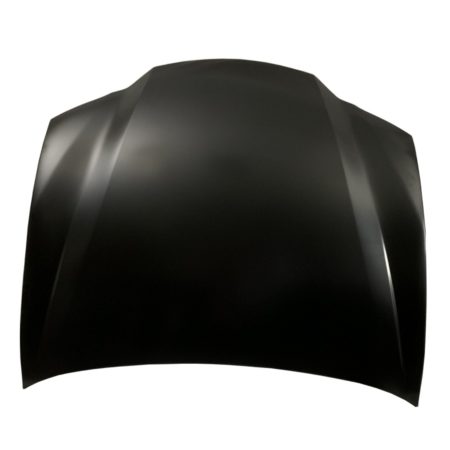 Hood panel assy - LEXUS GS350 2013-2020