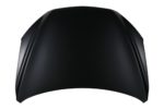 Hood Panel Assy CAPA