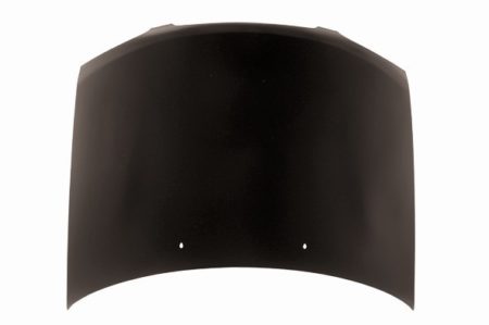 Hood panel assy all - NISSAN SENTRA 2000-2003