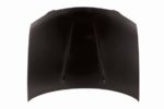 Hood panel assy all CAPA - NISSAN SENTRA 2004-2006