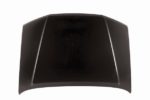 Hood Panel Assy CAPA