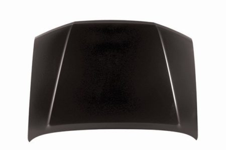 Hood Panel Assy CAPA