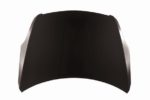 Hood panel assy HYBRID; Steel - NISSAN ALTIMA 2007-2009