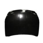 Hood panel assy CAPA - NISSAN MAXIMA 2007-2008