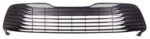 Front bumper grille LE; HYBRID - TOYOTA CAMRY 2018-2020