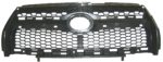 Grille Assy Limited; 2.5L - TOYOTA RAV4 2009-2012