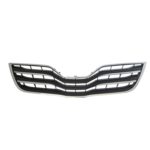 Grille assy XLE; PTM - TOYOTA CAMRY 2010-2011