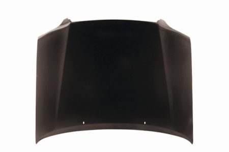 Hood panel assy all - TOYOTA SEQUOIA 2001-2007