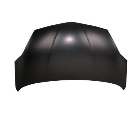 Hood Panel Assy All - TOYOTA SIENNA 2004-2010