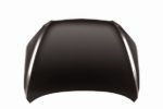 Hood Panel Assy All CAPA