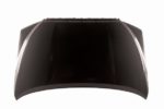 Hood Panel Assy All CAPA