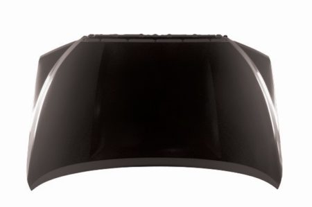 Hood panel assy all - TOYOTA SEQUOIA 2008-2022