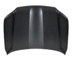 Hood panel assy - TOYOTA LAND CRUISER 2016-2021