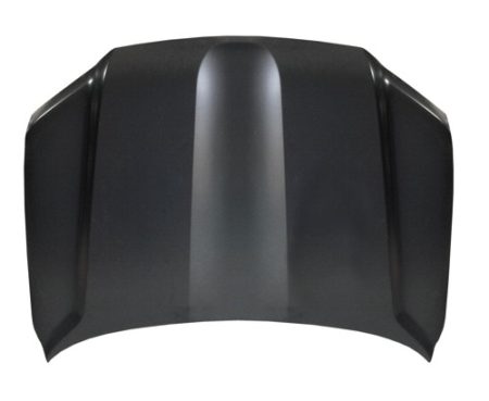 Hood panel assy - TOYOTA LAND CRUISER 2016-2021