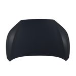 Hood Panel Assy - TOYOTA COROLLA CROSS 2022-2022