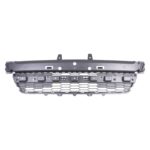 Front bumper grille - FORD EXPEDITION 2015-2017
