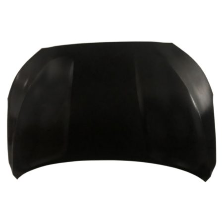 Hood panel assy - HYUNDAI VELOSTER 2019-2021